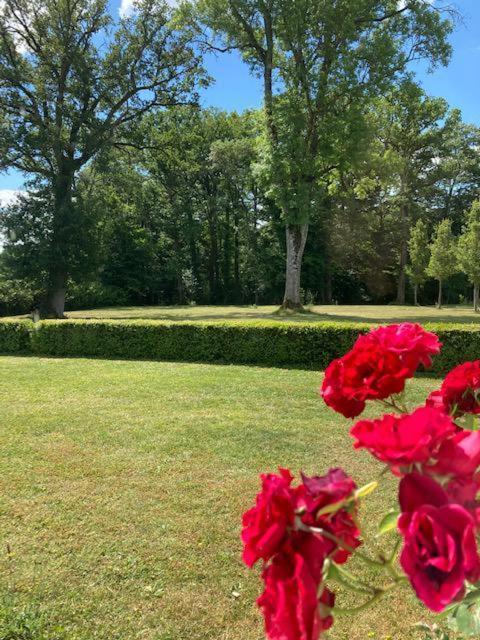 Vila Domaine De La Vaudouriere Lunay Pokoj fotografie