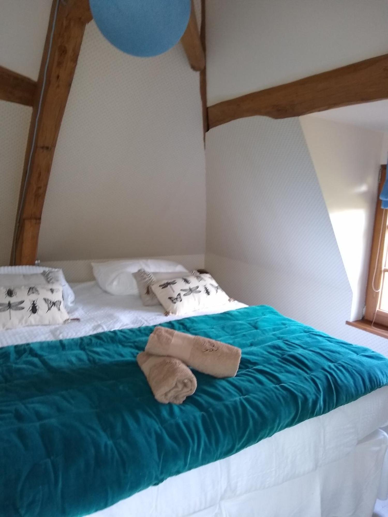 Vila Domaine De La Vaudouriere Lunay Pokoj fotografie
